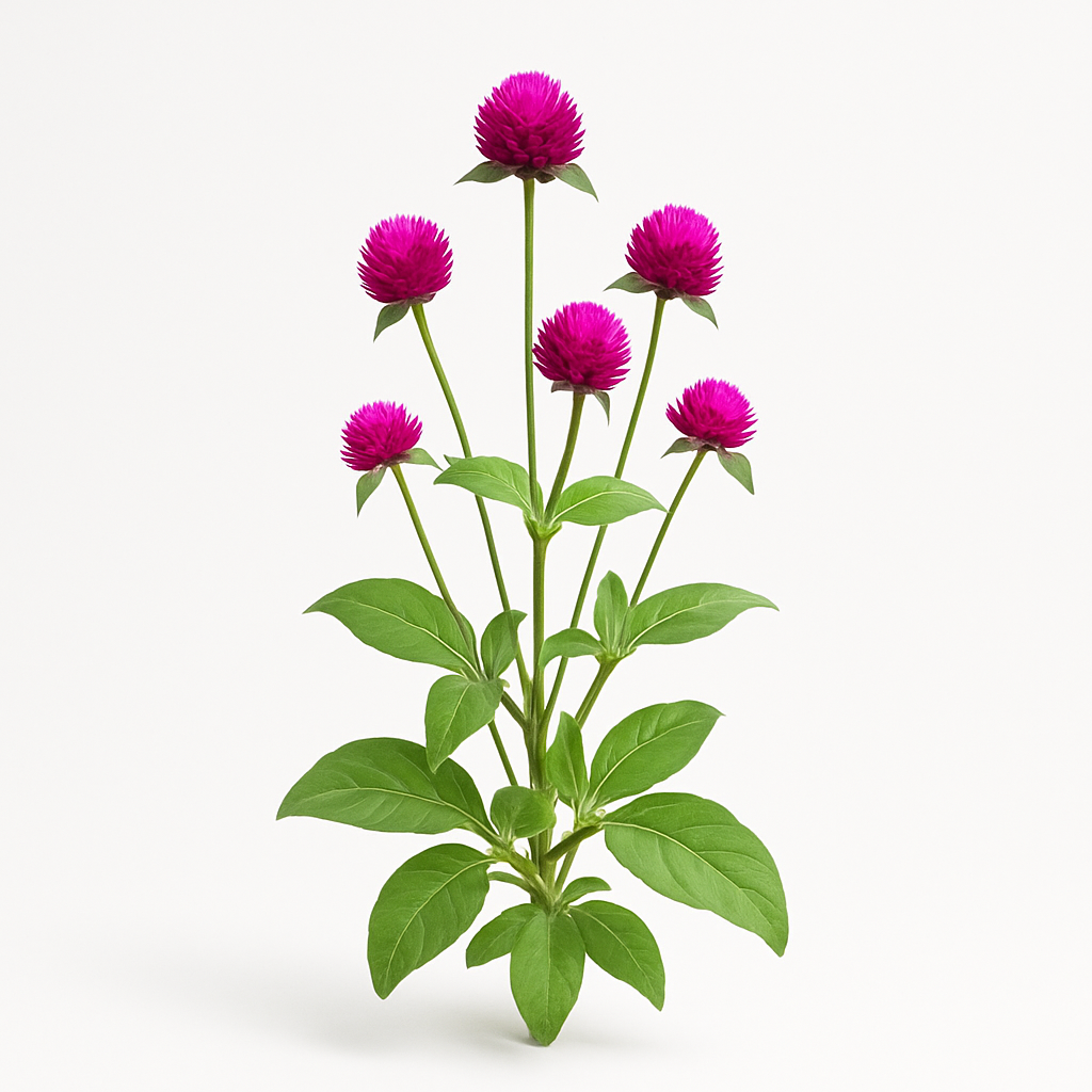 Flor de Papel